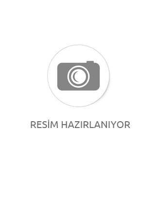 Hava Asistanı